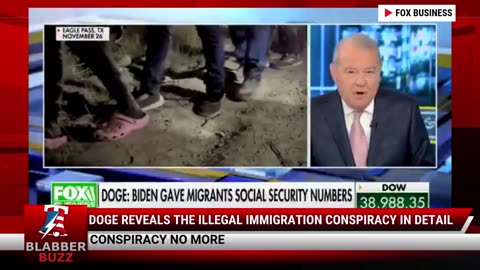 DOGE Reveals the Illegal Immigration Conspiracy in Detail