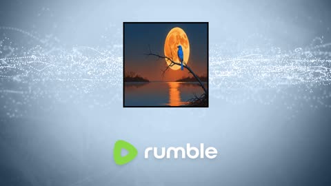 | Season EVENING | -06/08/5997 |