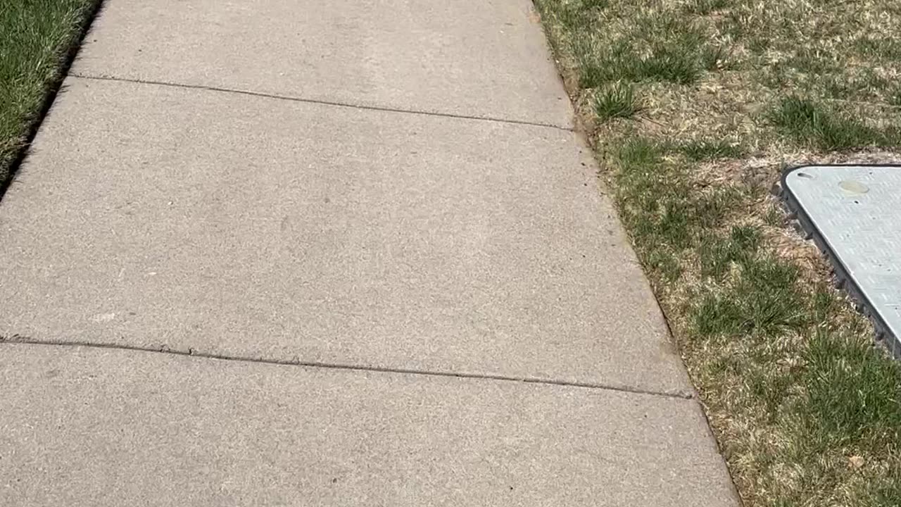 Walking around the park