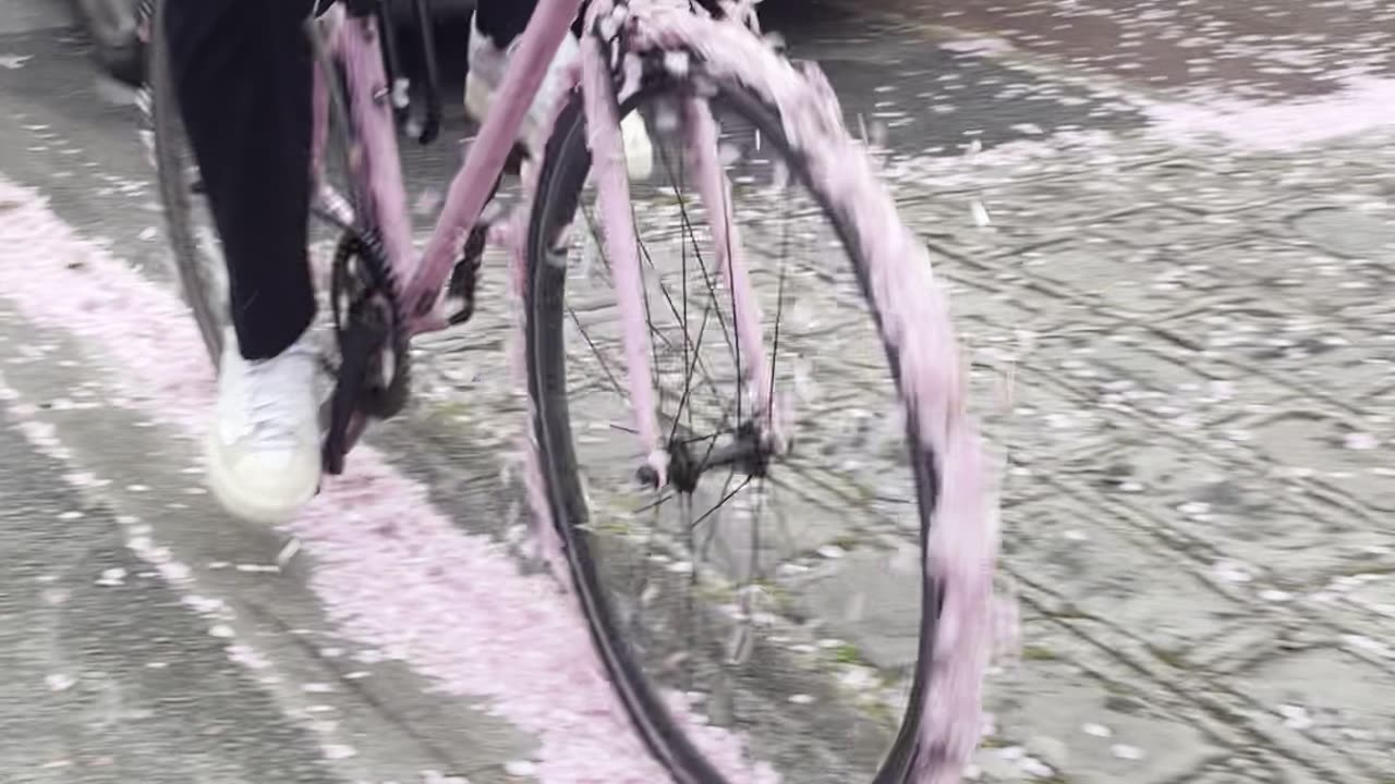Biking on Street Flowers