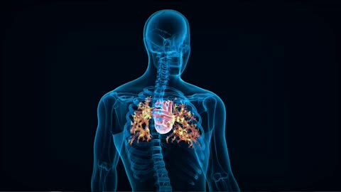 How Your Blood Travels 12,000 Miles a Day!#CirculatorySystem#BloodFlo