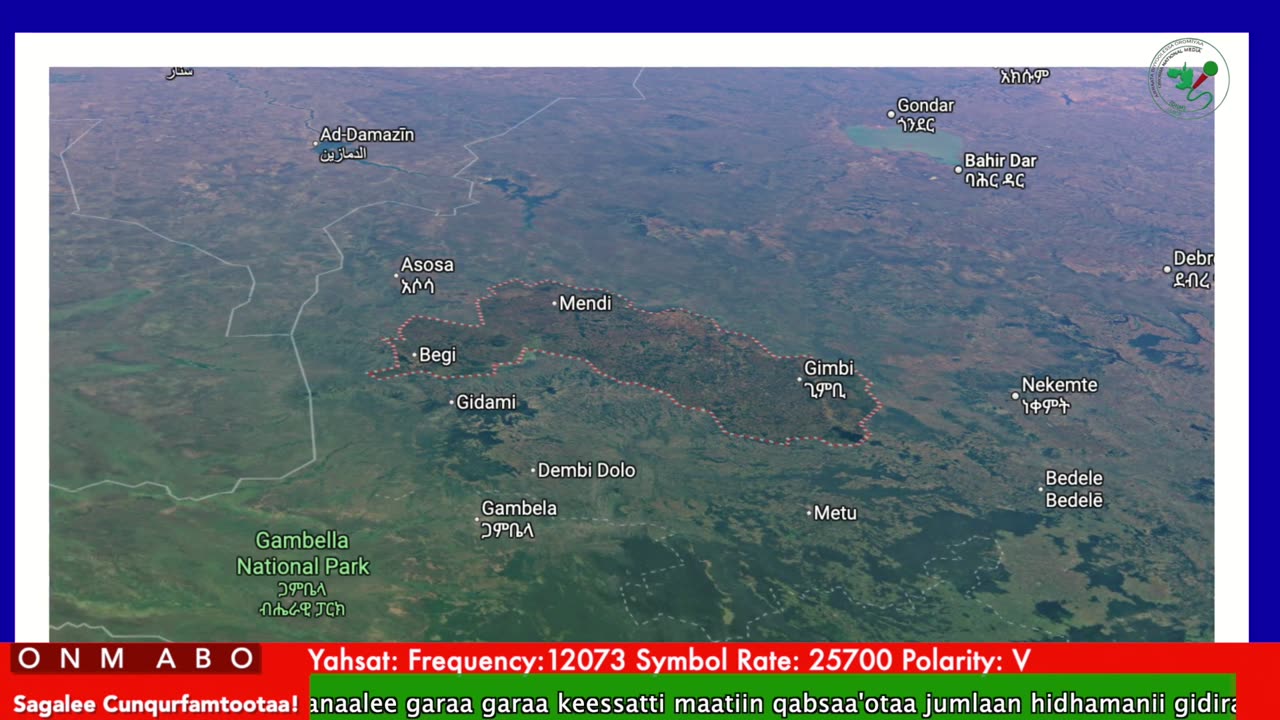 Oduu Waaree ONM-ABO Hagayya 1-2025 itti dhiyaadhaa!