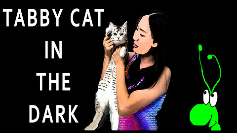 YING & QUIFF episode 13 TABBY CAT IN THE DARK