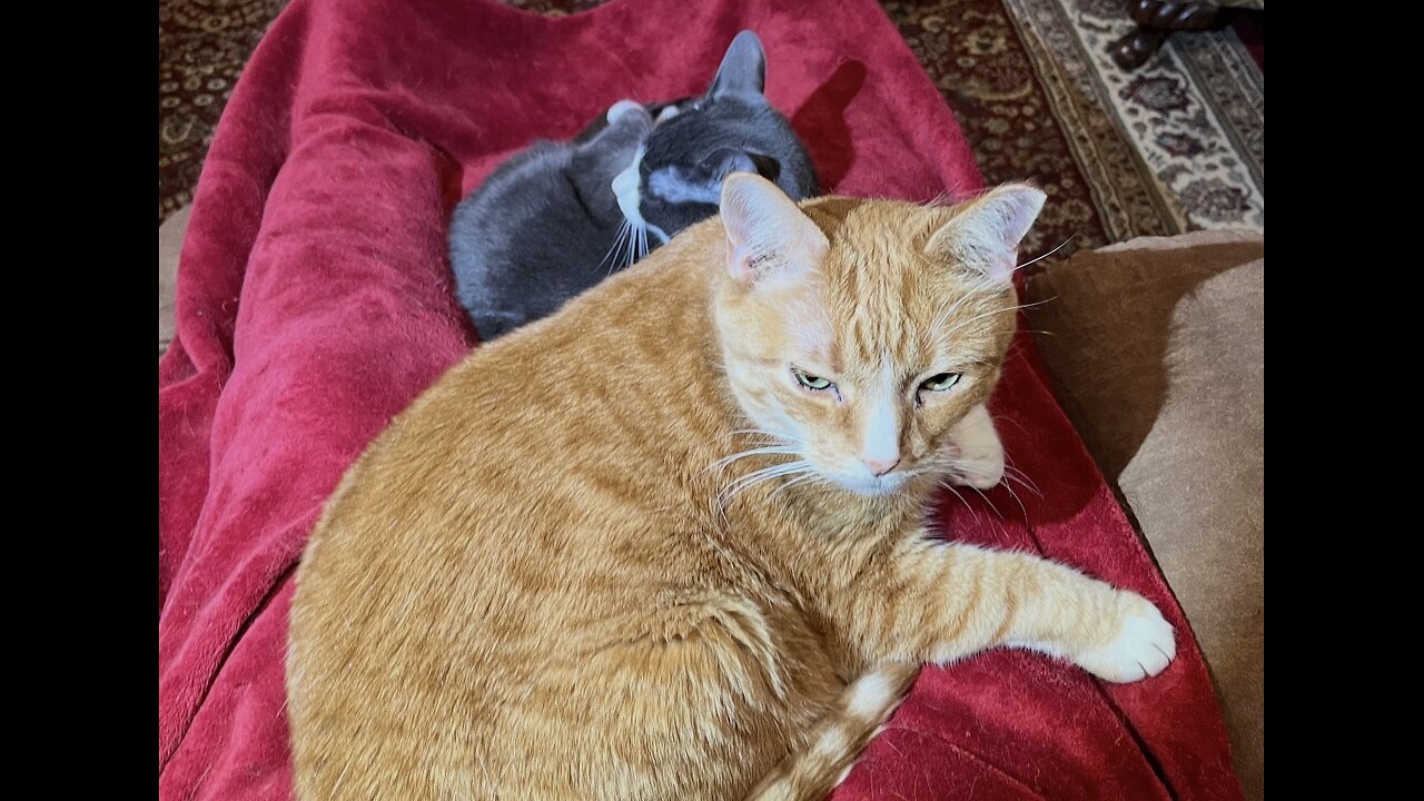 Episode 3005 CWSA 10/31/25