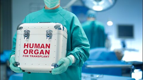 Organ Harvesting - Rootbitch