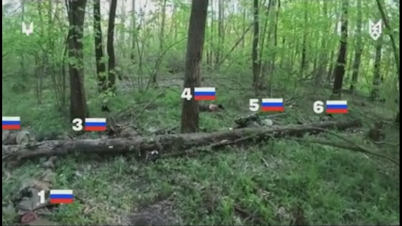 Война в Украине часть 388