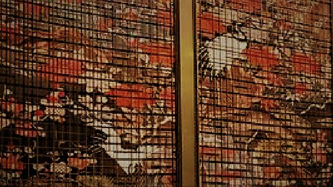 驿城区, 文化路336号