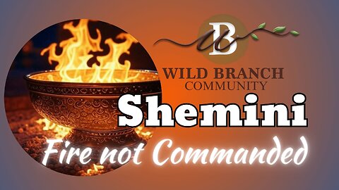 Shemini - Fire Not Commanded