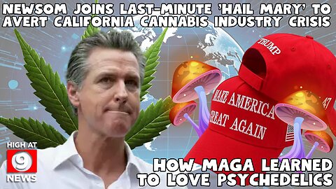 Newsom joins last-minute 'Hail Mary' to avert California cannabis industry crisis