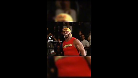 Hulk Hogan tribute 4