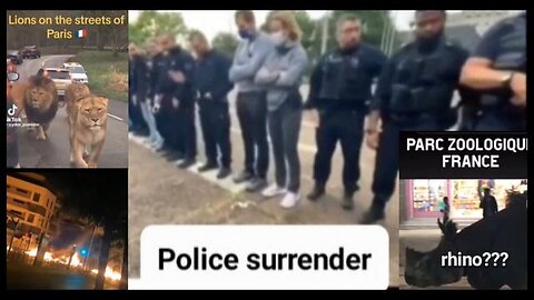 "Unraveling Chaos: An In-depth Look at the Current State of Anarchy in France"
