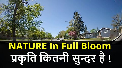 NATURE In Full Bloom प्रकृति कितनी सुन्दर है ! #canada #shivrawat #samraatbharat #rawat #viral