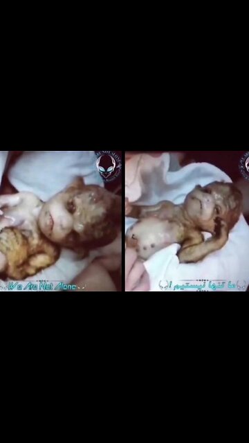 #D.U.M.B #BABY #DUMB #DUMBS #HUMAN #ANIMAL #HYBRID #DNA #SPLICING #EXPERIMENTS