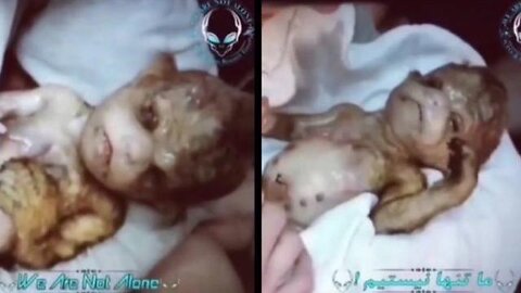 #D.U.M.B #BABY #DUMB #DUMBS #HUMAN #ANIMAL #HYBRID #DNA #SPLICING #EXPERIMENTS