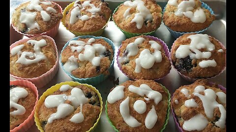 SUGAR-FREE BLUEBERRY MUFFIN