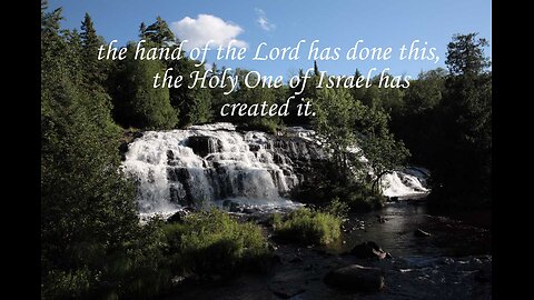 Help Us To Care For Your Whole Creation