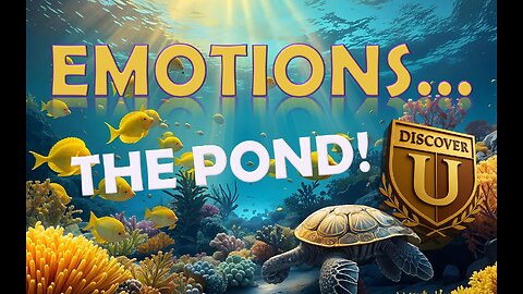 You Are Not Your Emotions! Explore the Pond!
