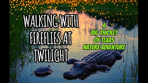 Walking With Fireflies At Twilight