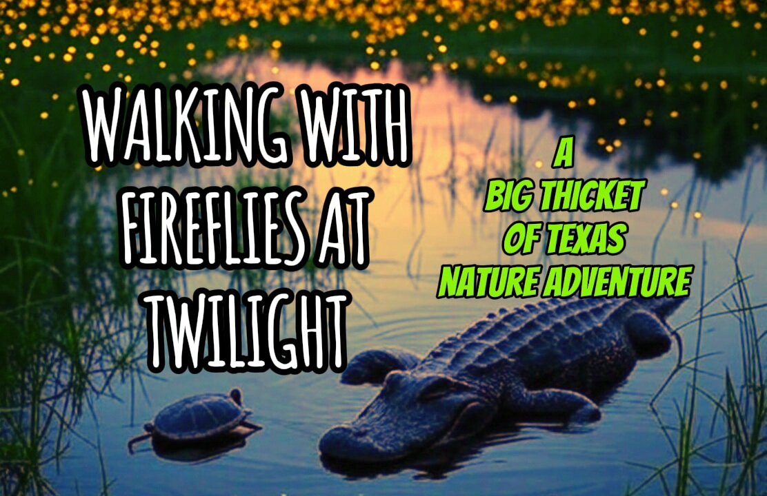 Walking With Fireflies At Twilight