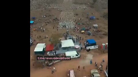 Il genocidio di bianchi in Sudafrica.