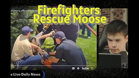 Firefighters Rescue Moose...
