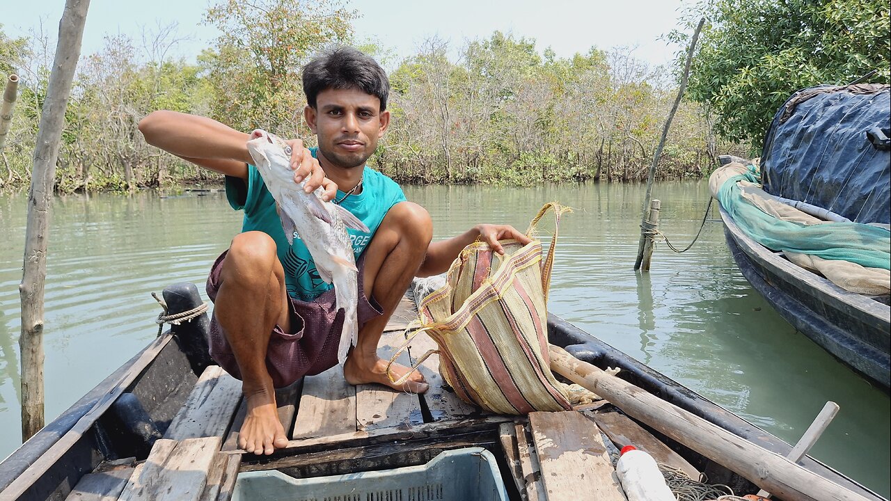 Wildlife of sundarban fishing