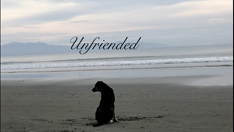 Unfriended