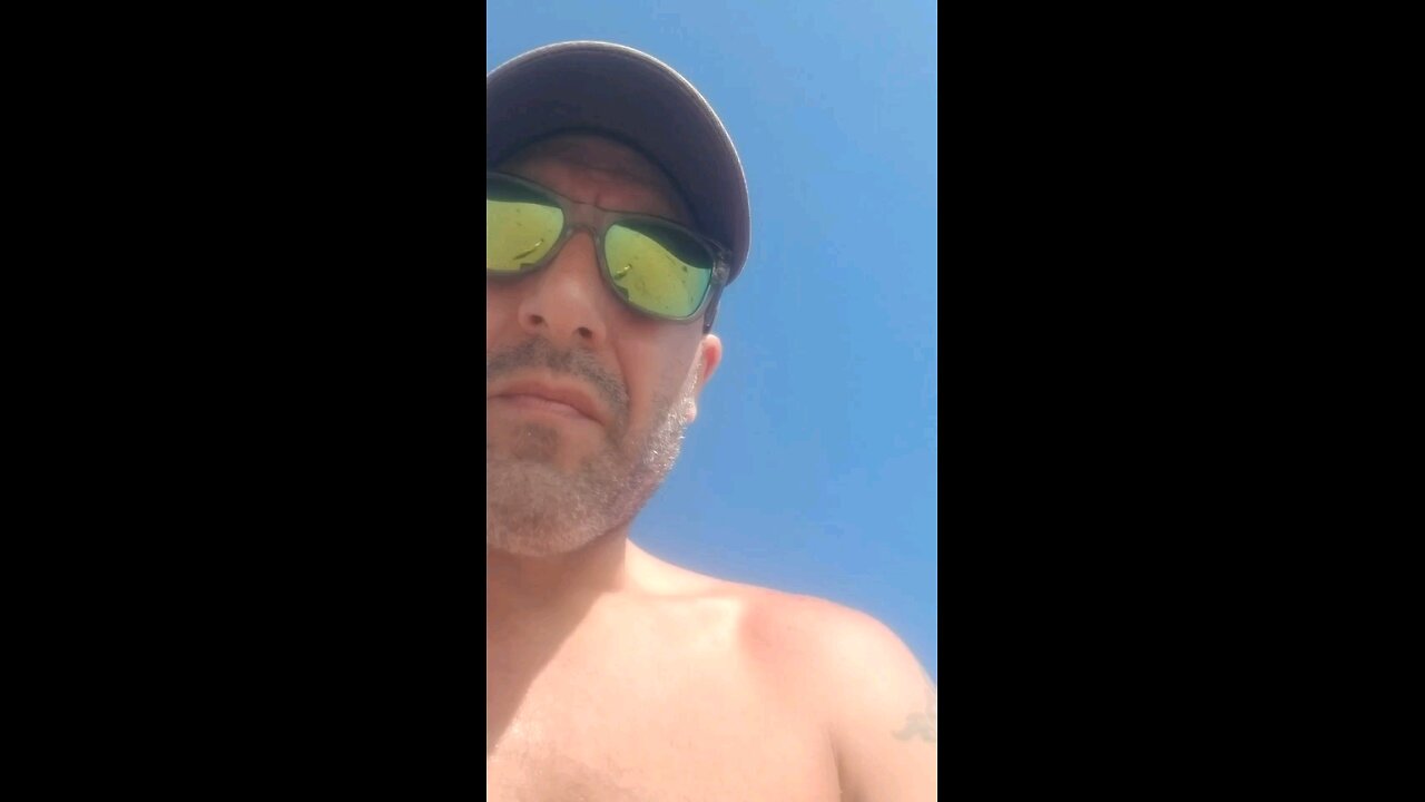 FISH AND SEAGULL BITES...