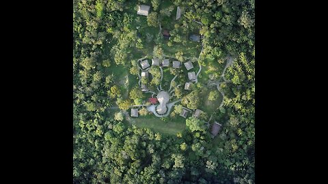 Chan Chich Belize jungle. January 1994