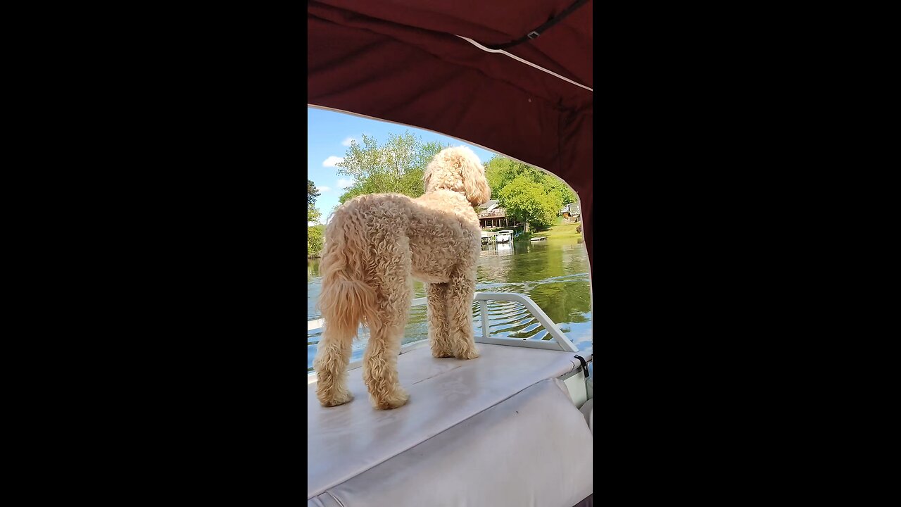 "Captain, Sir, we have gained another Pirate!!! Shall she watch the bow as I watch from the stern!?"
