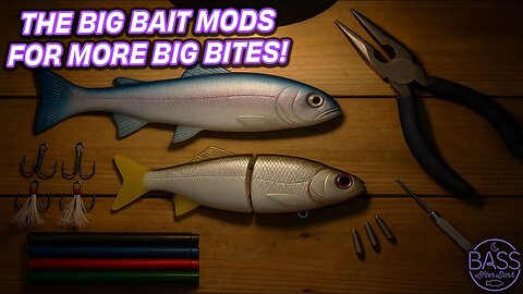 What are the big bait mods you need to know? (ft. Oliver Ngy, Tater Hog, and Steve Kennedy)