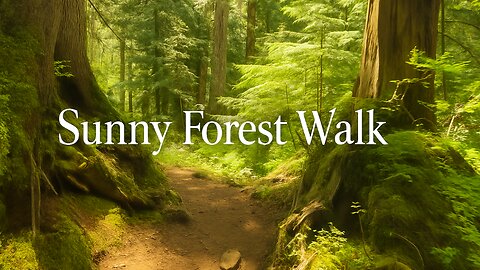 Sunny Forest Walk – Relaxing Nature Sounds | Pacific Northwest