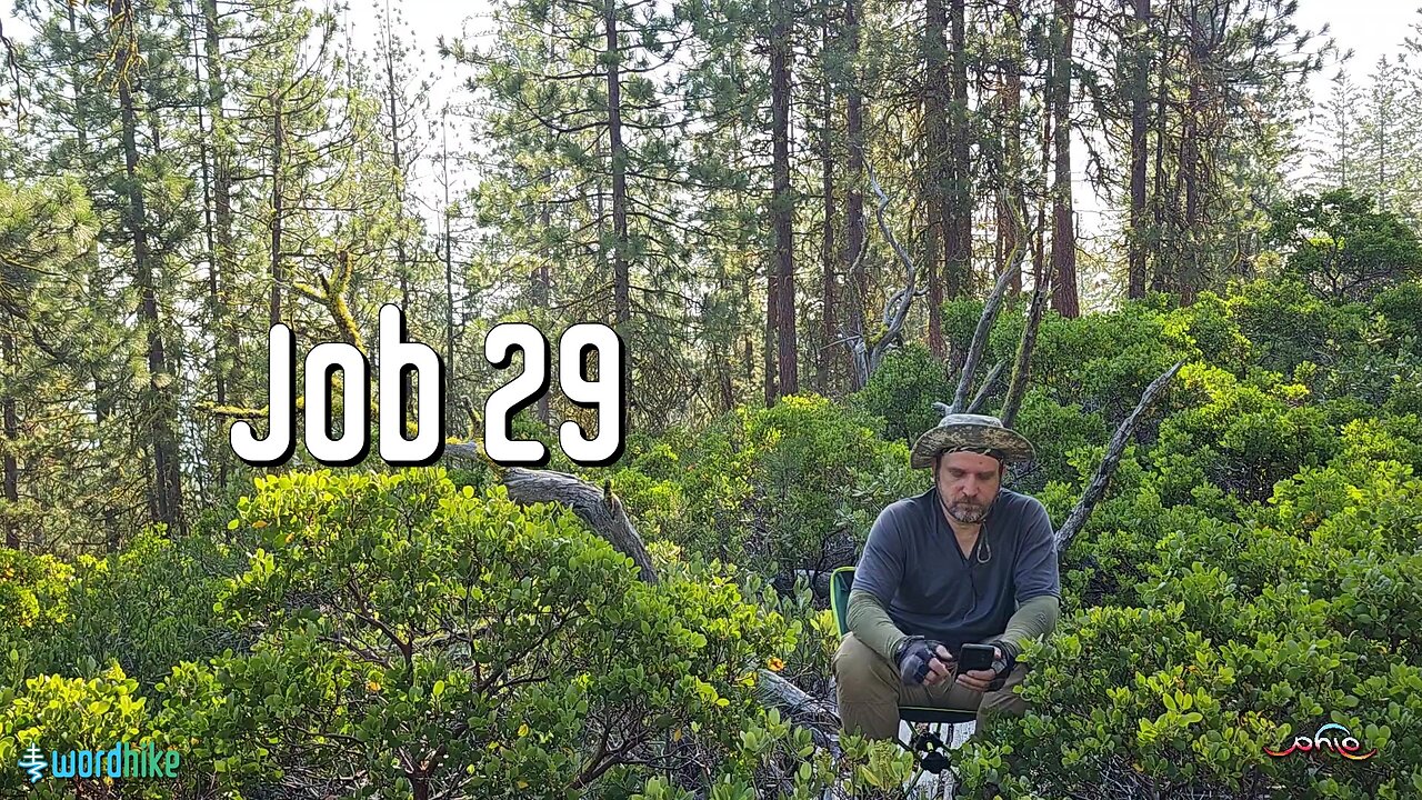 Job 29