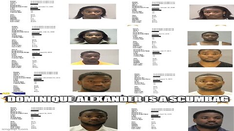 Karmelo Anthony advocate Dominique Alexander EXPOSED!!!