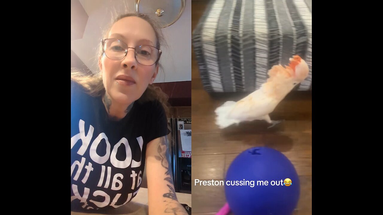 This Cockatoo Is Wild