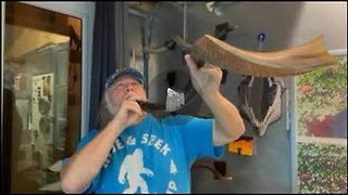 When You're Told TO Blow 7 Shofar's, You Blow 7 Shofar's - Who Has 7 Shofars Anyway??