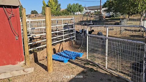 Graham Family Farm NW: 9:00 AM September 16 2025