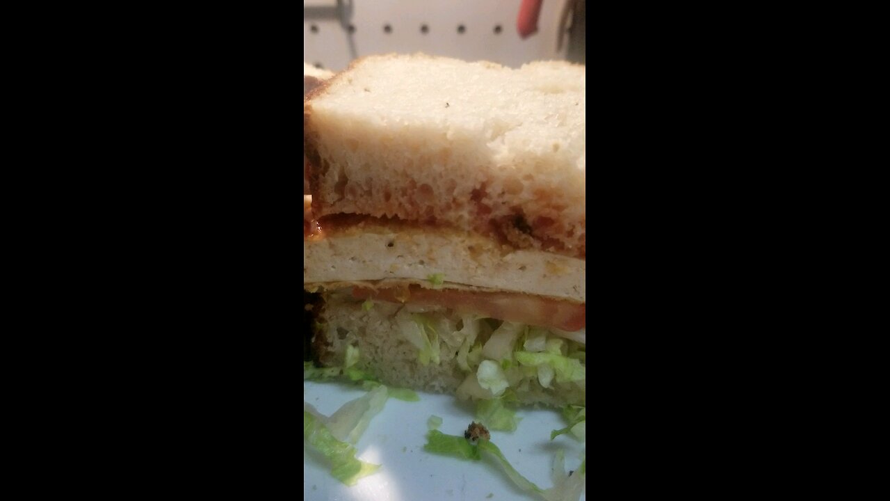 Baked breaded Tofu sandwich... dont judge me..