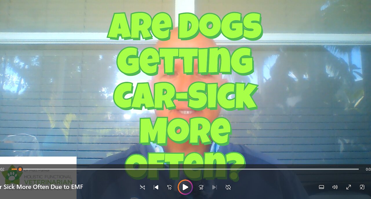 Is Your Dog Getting Car-Sick More Often?