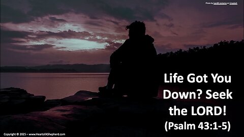 Life Got You Down? Seek the LORD! (Psalm 43:1-5), a daily Bible study from www.HeartofAShepherd.com.
