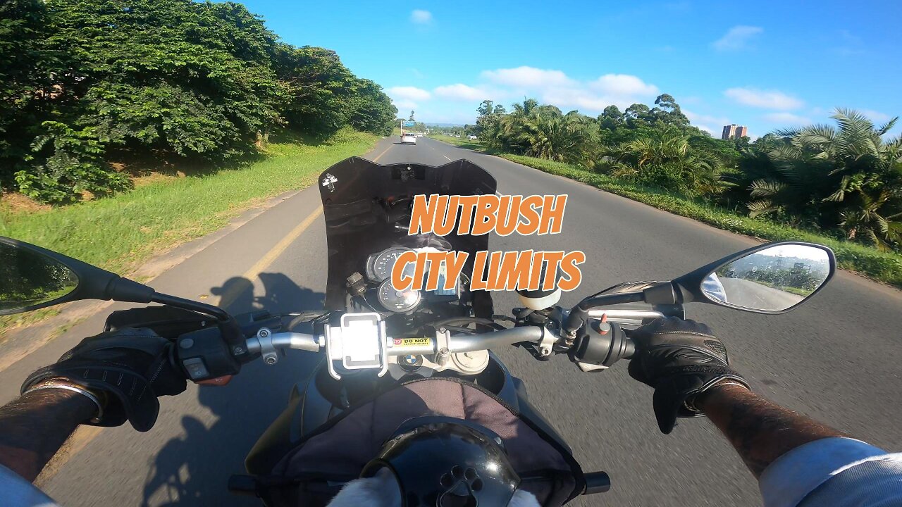 Nutbush city limits