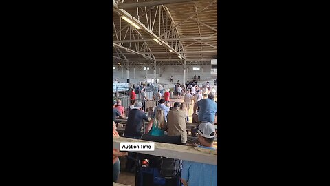 lifestock auction 2025