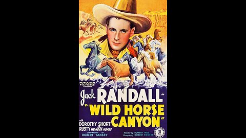 Wild Horse Canyon (1938) | Directed by Robert F. Hill