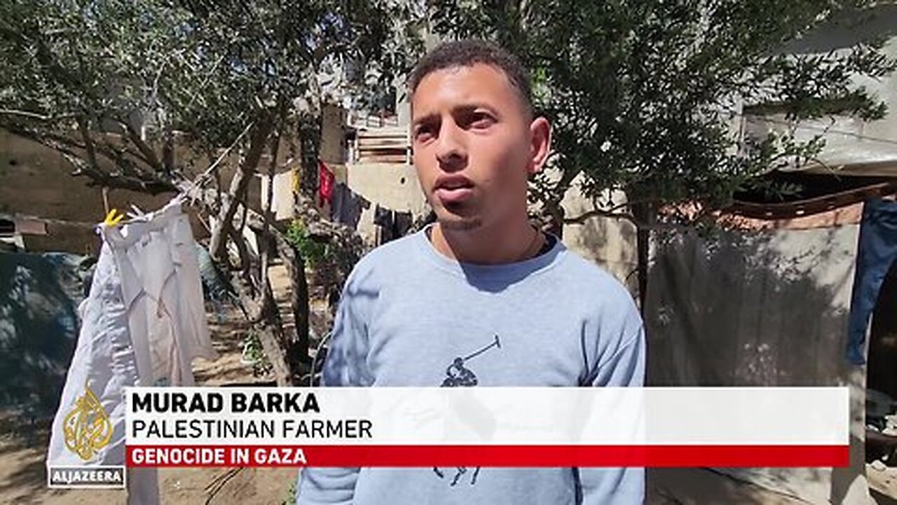 Gaza farmland wiped out_ Majority of strip's agricultural land destroyed