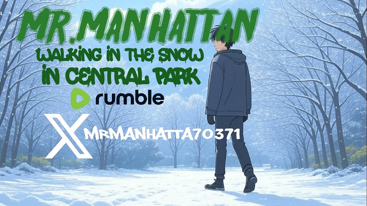 Mr.Manhattan Walking in the snow in Central Park