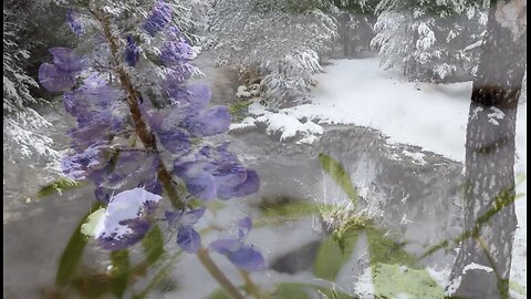 8 Hours Heavenly Christmas Music 🎄