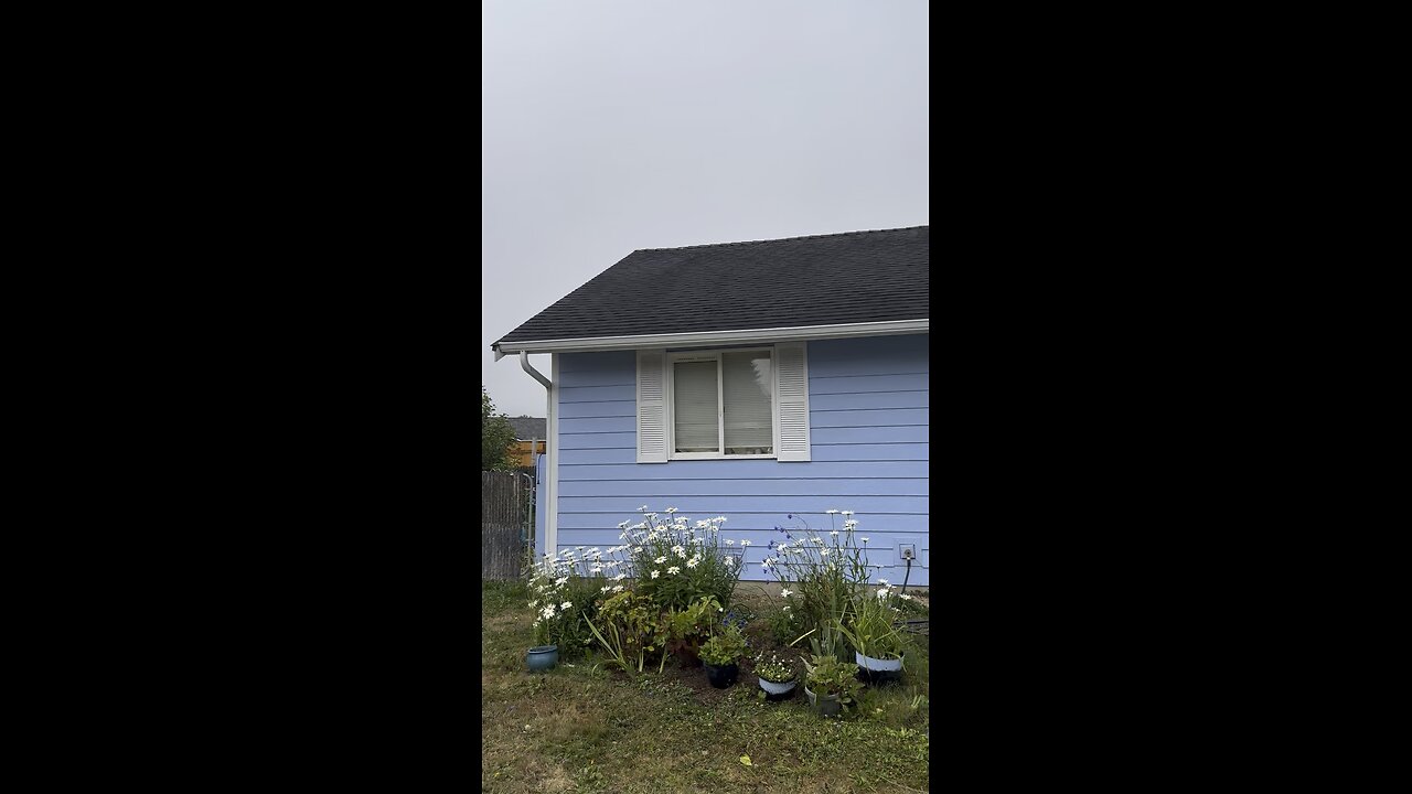 Summer in the Pacific Northwest 🌻🌂