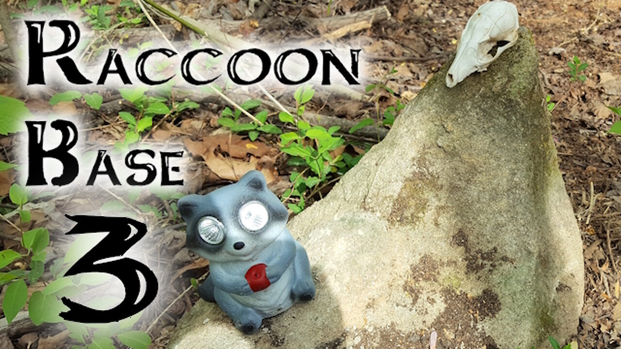 Raccoon Base 3