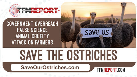 Save The Ostrich Update