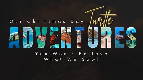 We Spent Christmas Day with TURTLES and It Was LIFE CHANGING!